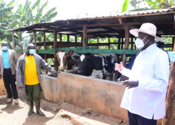 Museveni impressed with Social Economic Transformation progress as he tours Sebei subregion