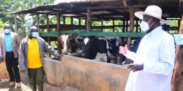 Museveni impressed with Social Economic Transformation progress as he tours Sebei subregion