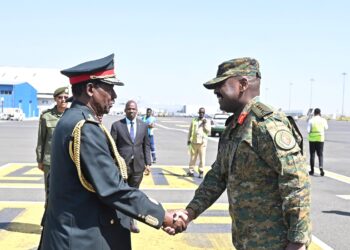 CDF Muhoozi Kainerugaba meets his Ethiopian counterpart, discuss Military Cooperation