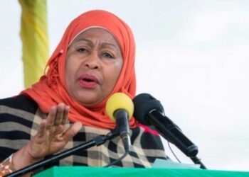 We can’t allow ‘ill-mannered’ foreign activists to Destabilize Tanzania -Samia Suluhu