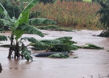 Tragedy as 4 Year Old Pupil Drowns in Mityana Flash Floods